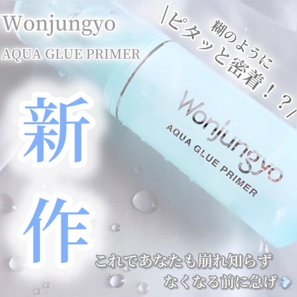 ウォンジョンヨ アクアグルー プライマー/Wonjungyo/化粧下地を使ったクチコミ(1枚目)