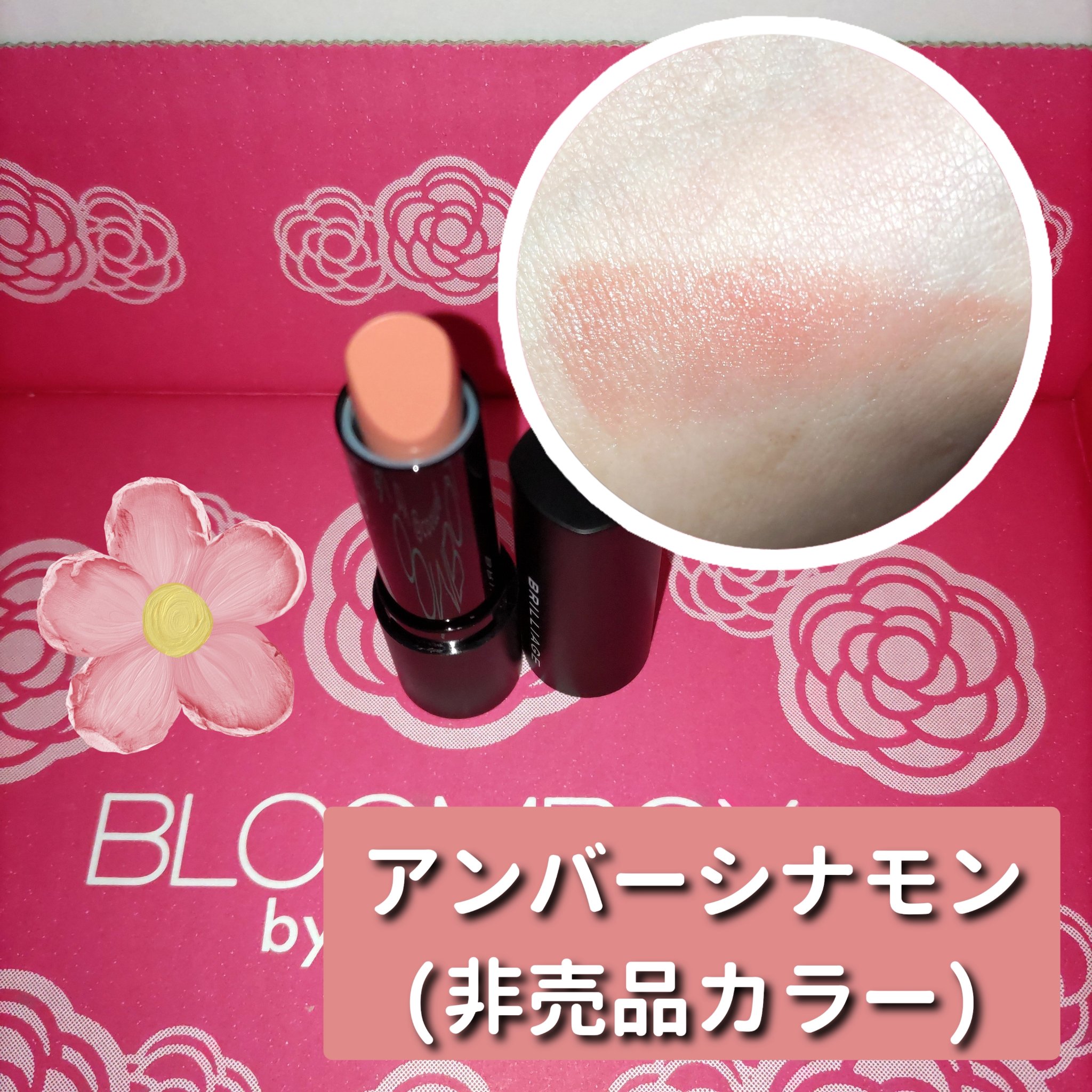 パウダーグローリップス/ブリリアージュ/口紅を使ったクチコミ（1枚目）