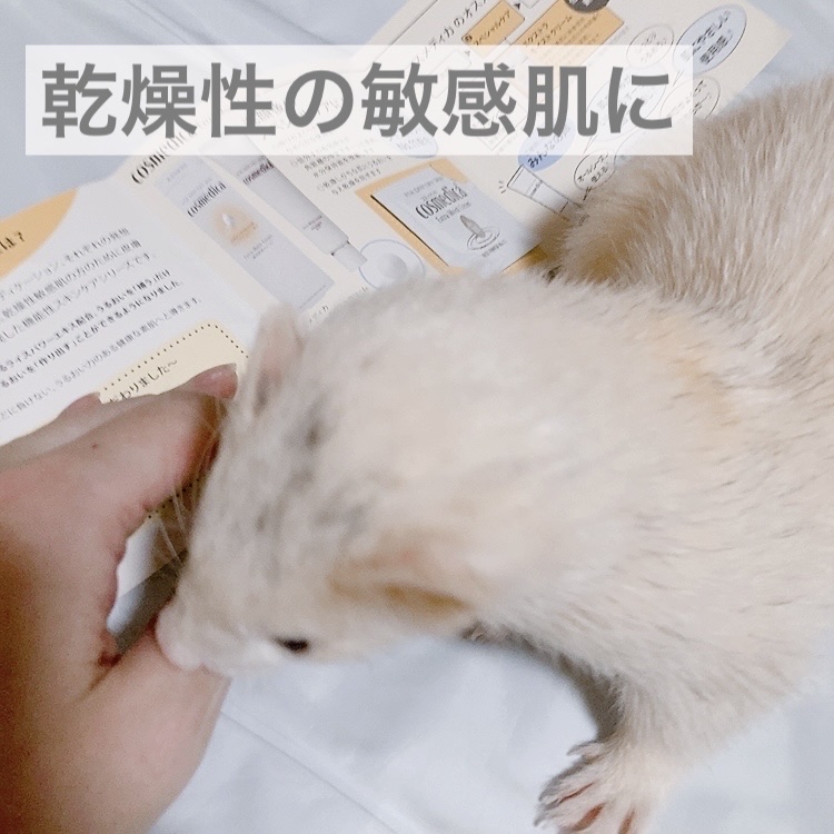 エクストラモイストクリーム/コスメディカ/フェイスクリームを使ったクチコミ（1枚目）