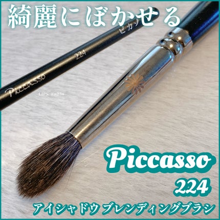 COLLEZIONI 224 アイシャドウブラシ/PICCASSO/メイクブラシを使ったクチコミ(1枚目)