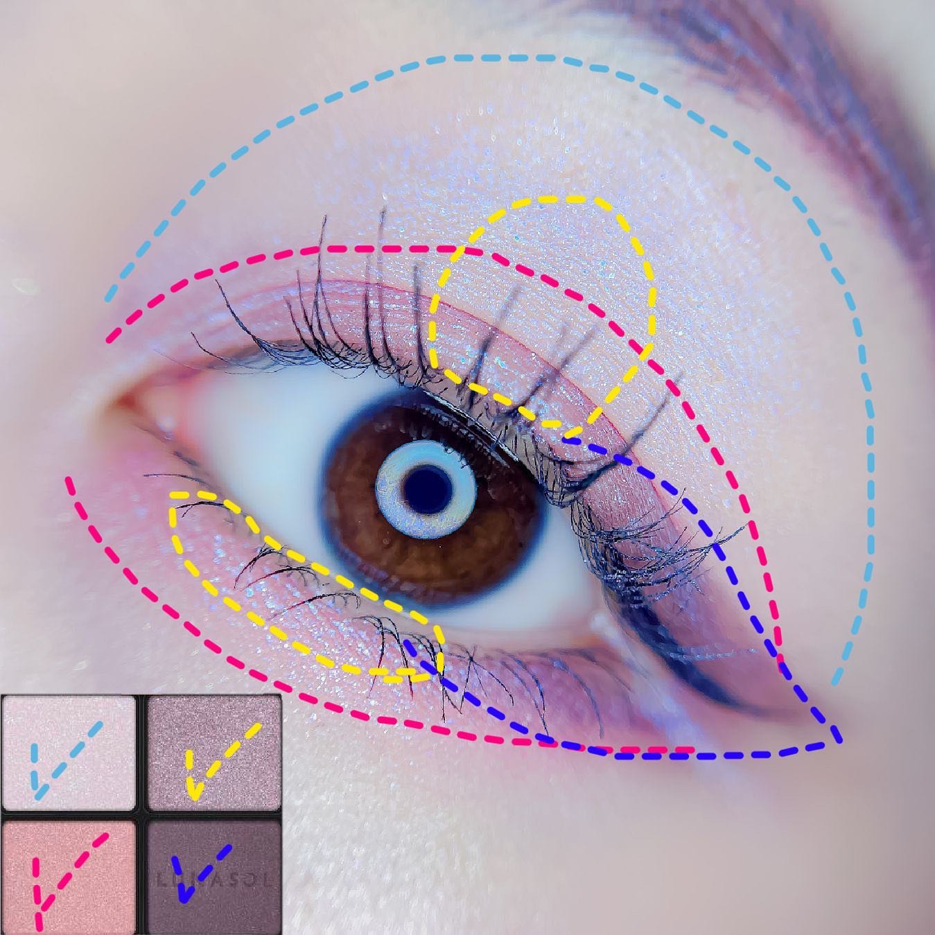 アイカラーレーション/LUNASOL/アイシャドウパレットを使ったクチコミ（2枚目）