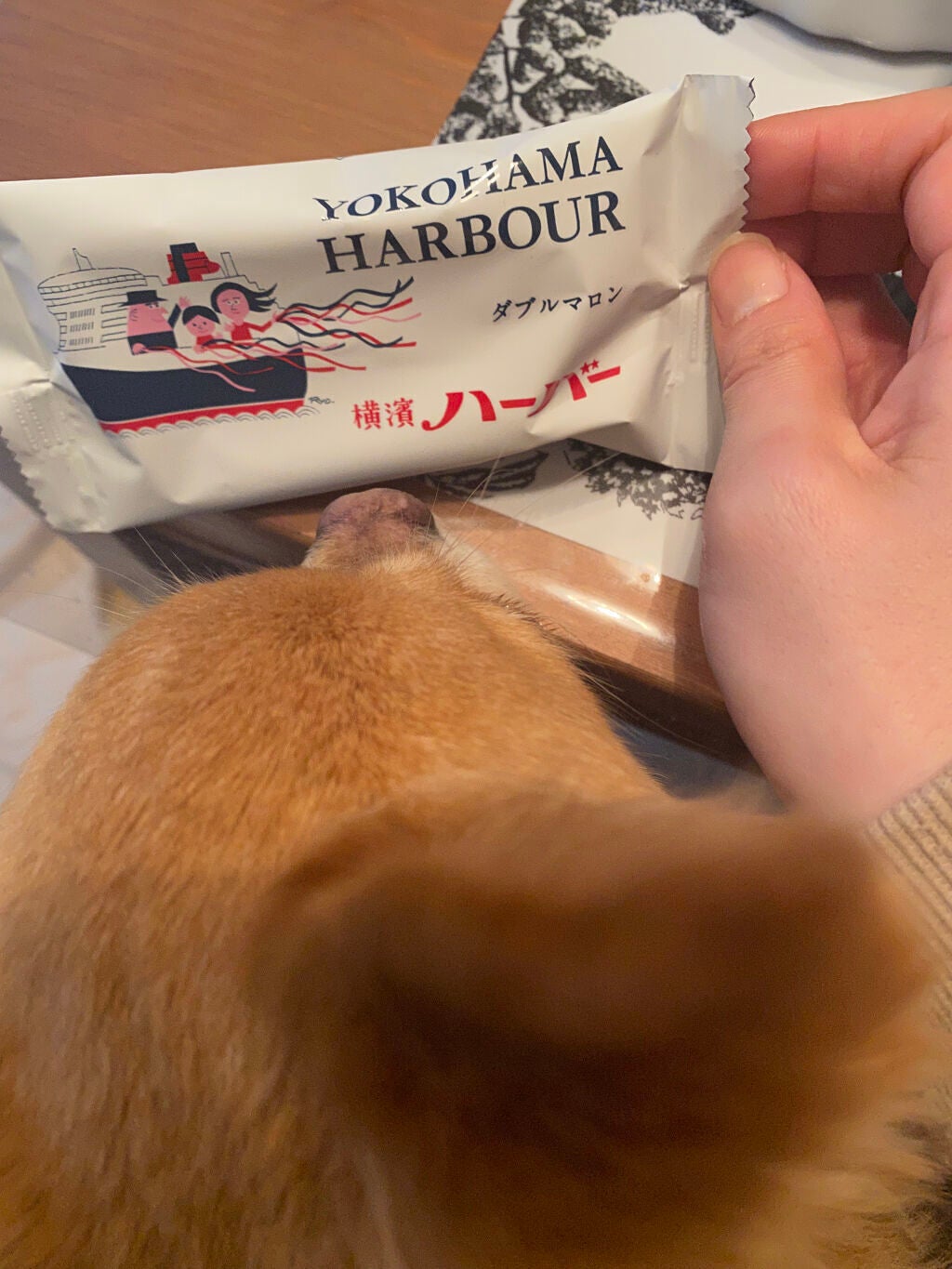 湯ったり周遊パック/旅の宿/入浴剤を使ったクチコミ(7枚目)