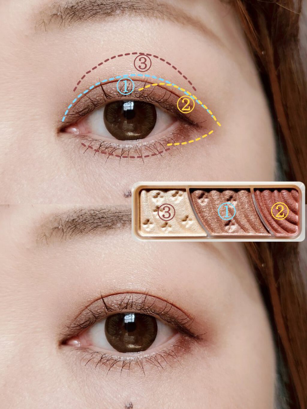 トーンアップアイシャドウ/CEZANNE/アイシャドウパレットを使ったクチコミ（3枚目）