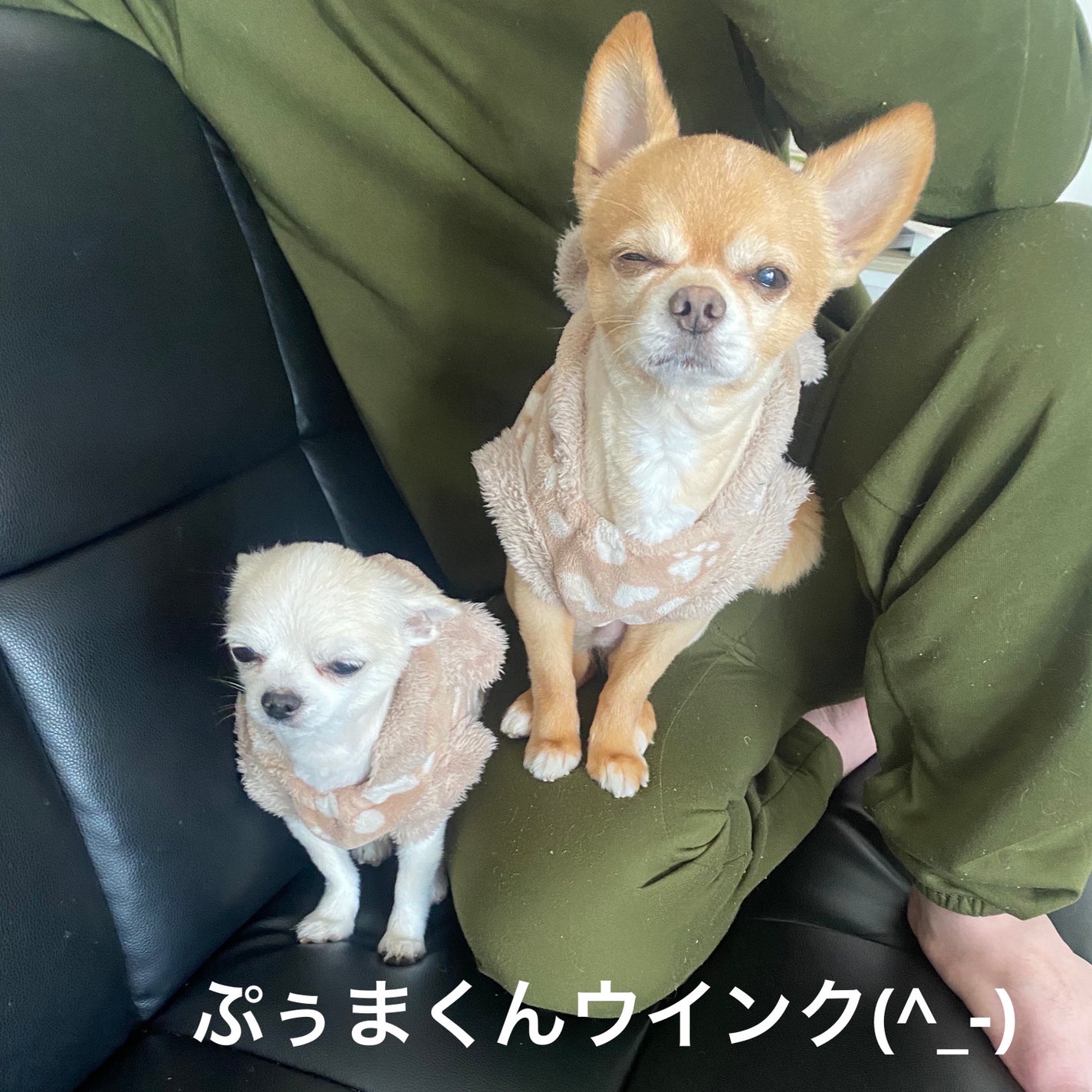 すぐに眠れマスク トリッププレミアム ND 22/サボリーノ/シートマスク・パックを使ったクチコミ(10枚目)