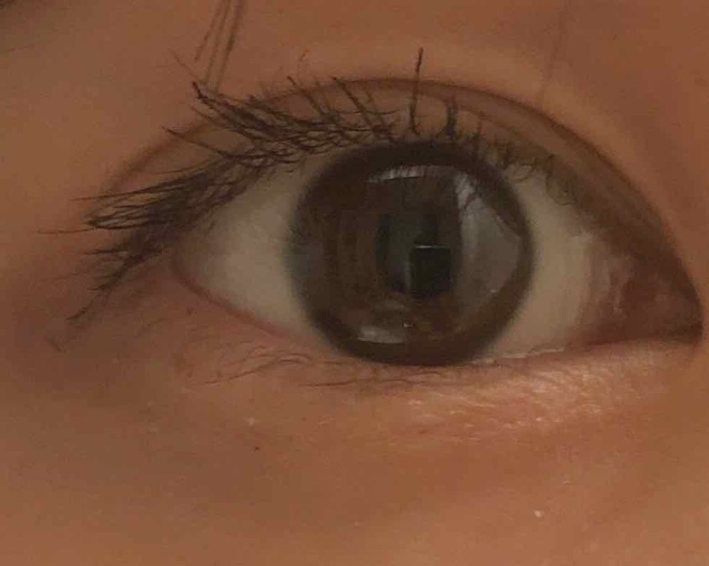 スナップスカラ 06 バーガンディ/MAYBELLINE NEW YORK/マスカラを使ったクチコミ（2枚目）