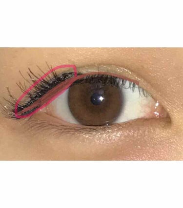 デコラティブアイラッシュ (上まつ毛用)/Decorative Eyelash/つけまつげを使ったクチコミ（3枚目）