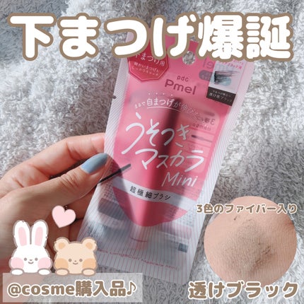 ピメル パーフェクトロング&カールマスカラ ミニ/pdc/マスカラを使ったクチコミ(1枚目)