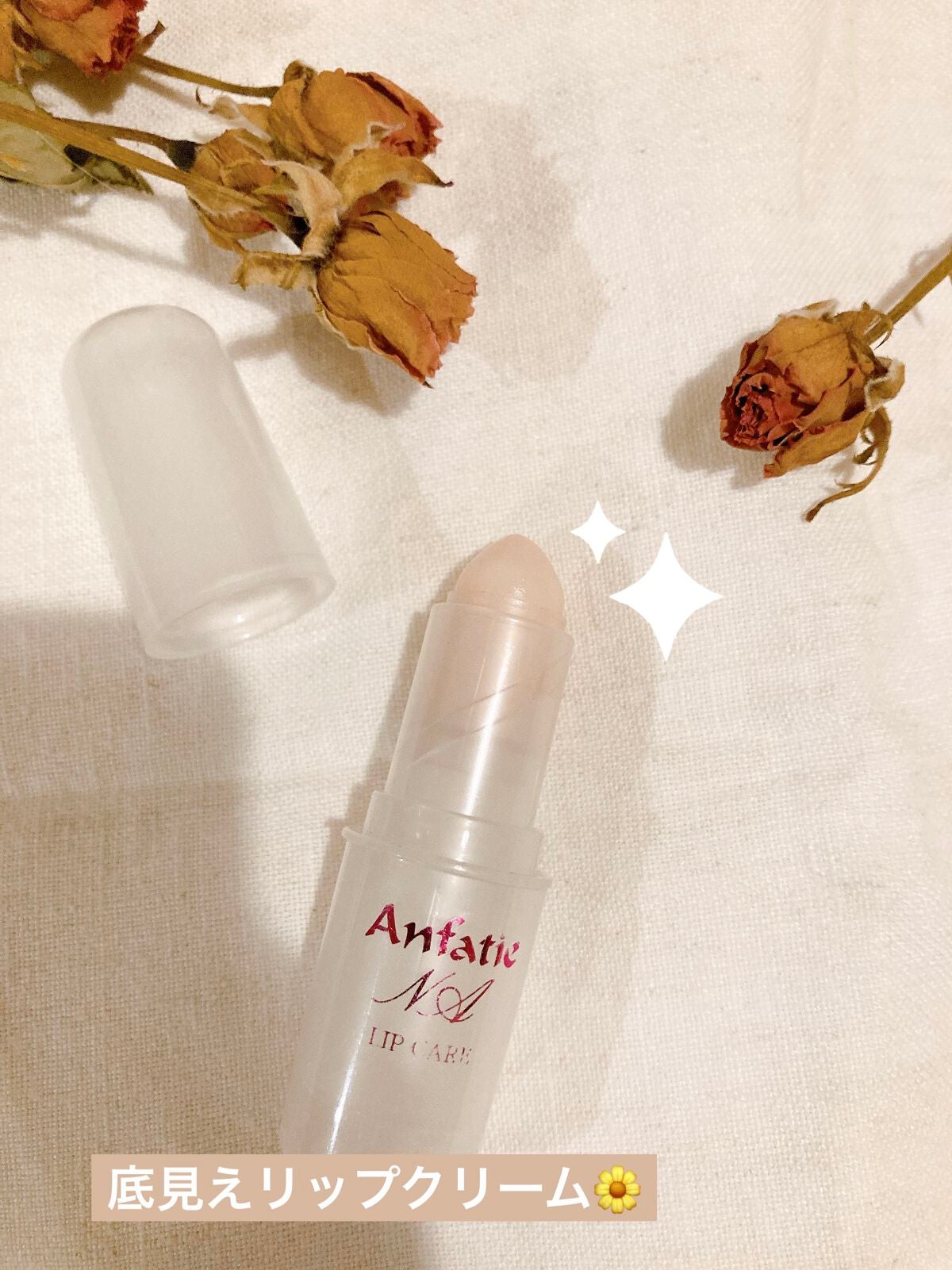 リップケアNA リップクリーム/アンファティ/リップクリームを使ったクチコミ(1枚目)