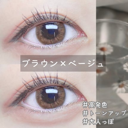 1DAY Refrear elebelle/Refrear/ワンデー(1DAY)カラコンを使ったクチコミ(1枚目)