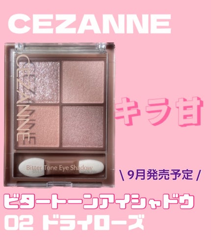 ビタートーンアイシャドウ/CEZANNE/パウダーアイシャドウを使ったクチコミ(1枚目)
