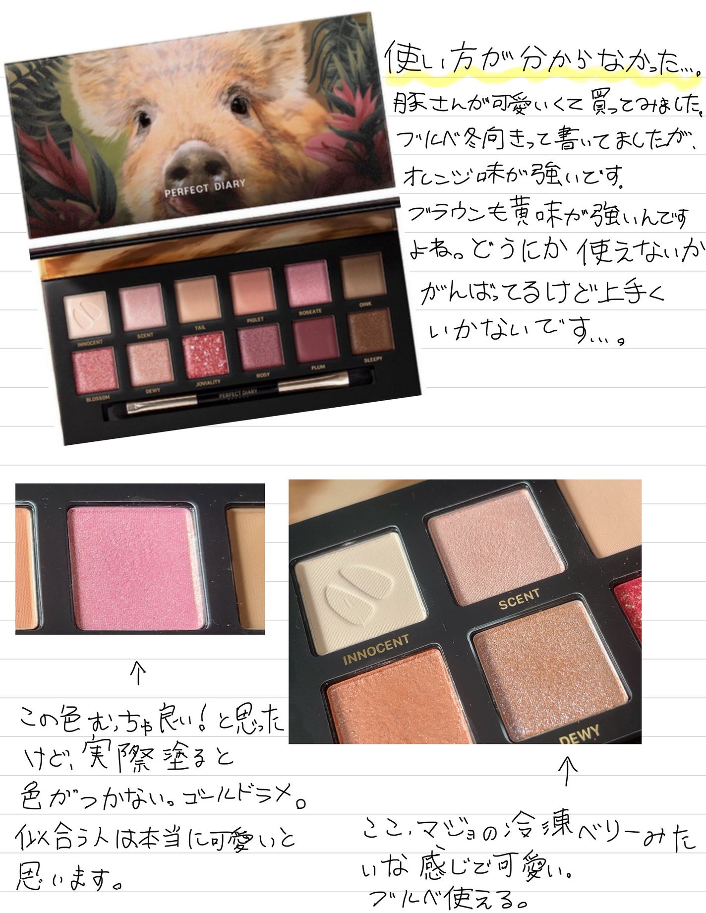 エクスプローラ12色 動物アイシャドウパレット/PERFECT DIARY/アイシャドウパレットを使ったクチコミ(1枚目)