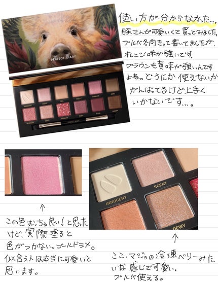 エクスプローラ12色 動物アイシャドウパレット/PERFECT DIARY/アイシャドウパレットを使ったクチコミ(1枚目)