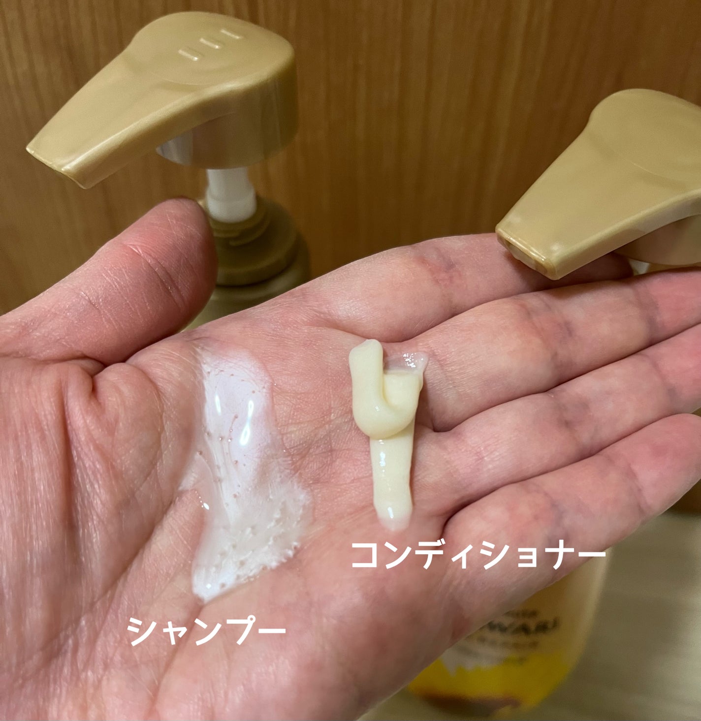 オイルインシャンプー/オイルインコンディショナー(リッチ&リペア)/ディアボーテ/市販シャンプーを使ったクチコミ(2枚目)