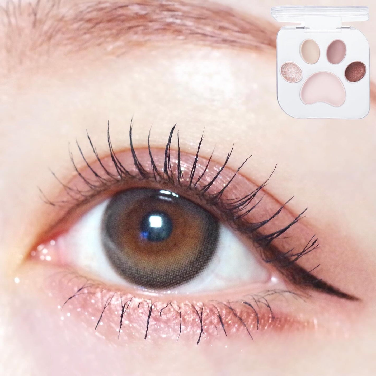 ミャオパウズアイシャドウパレット/MilleFée/アイシャドウパレットを使ったクチコミ(1枚目)