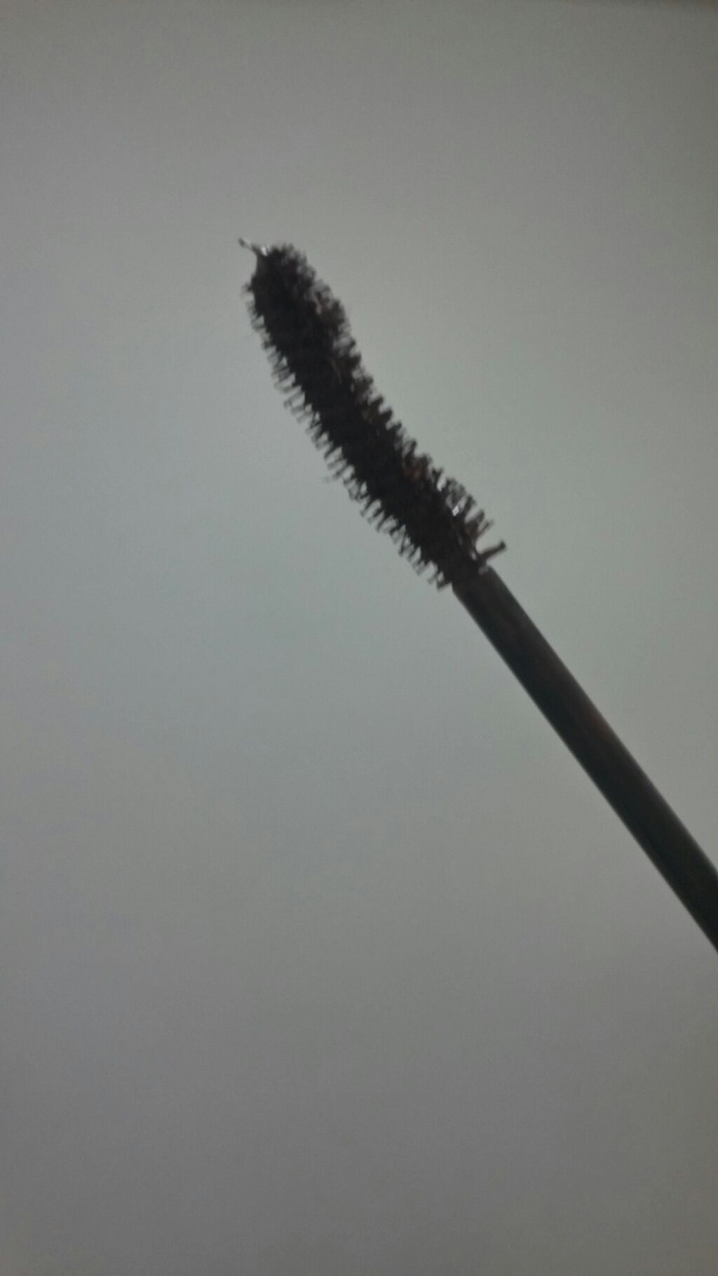 ブロウラッシュNEO ラッシュアップマスカラ ロング/ブロウラッシュ/マスカラを使ったクチコミ（2枚目）