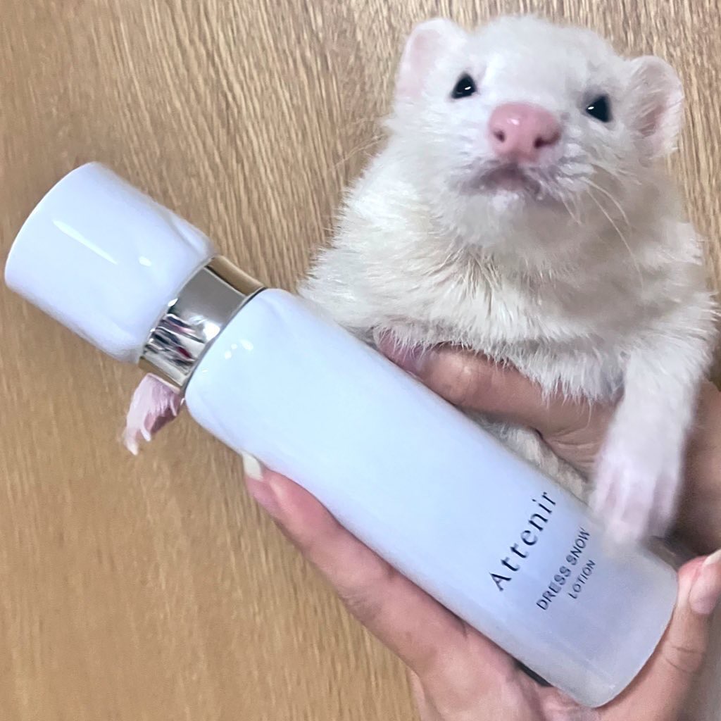 ドレススノー ローション【医薬部外品】 /アテニア/化粧水を使ったクチコミ（1枚目）