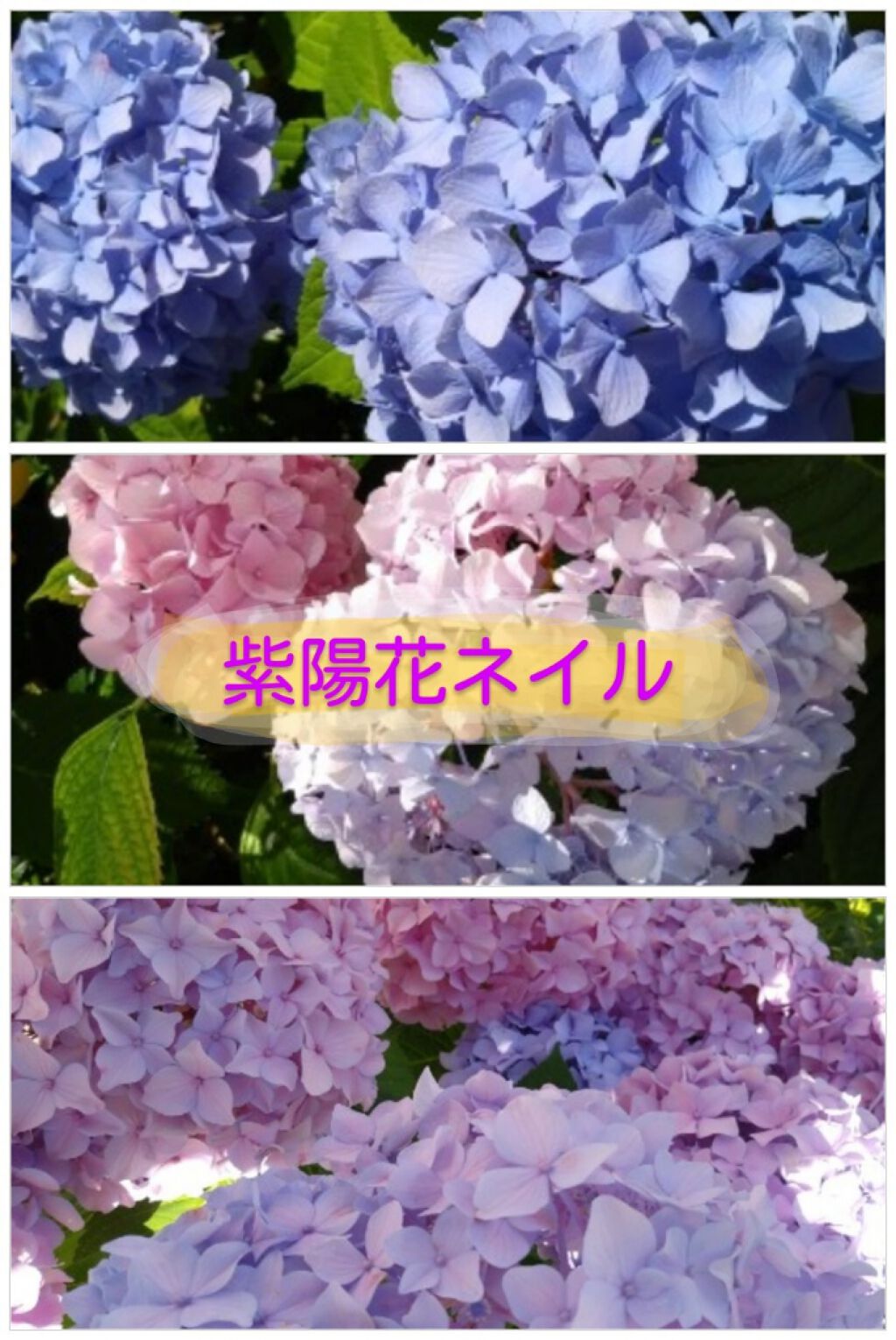 トップ＆ベースコートA/media/ネイルトップコートを使ったクチコミ（1枚目）