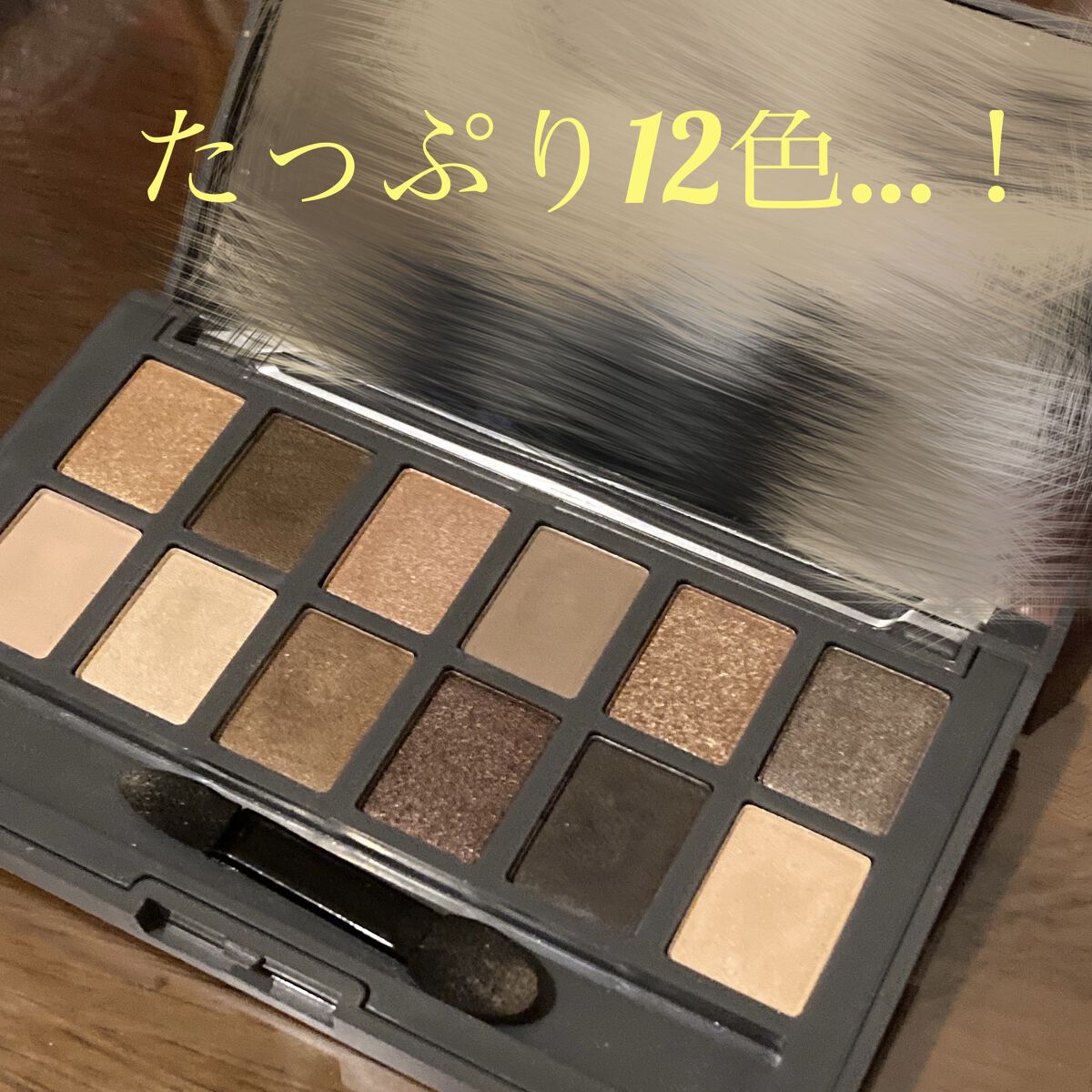 アイシャドウパレット BEBR（ベージュブラウン）/and us/アイシャドウパレットを使ったクチコミ（2枚目）