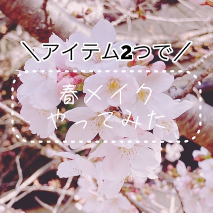 ウォータープルーフペンシルアイライナー/SISTER ANN/ペンシルアイライナーを使ったクチコミ(1枚目)