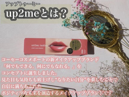 アップトゥーミー ハグマイリップ カラーロックプランパー/up2me/リッププランパーを使ったクチコミ(3枚目)