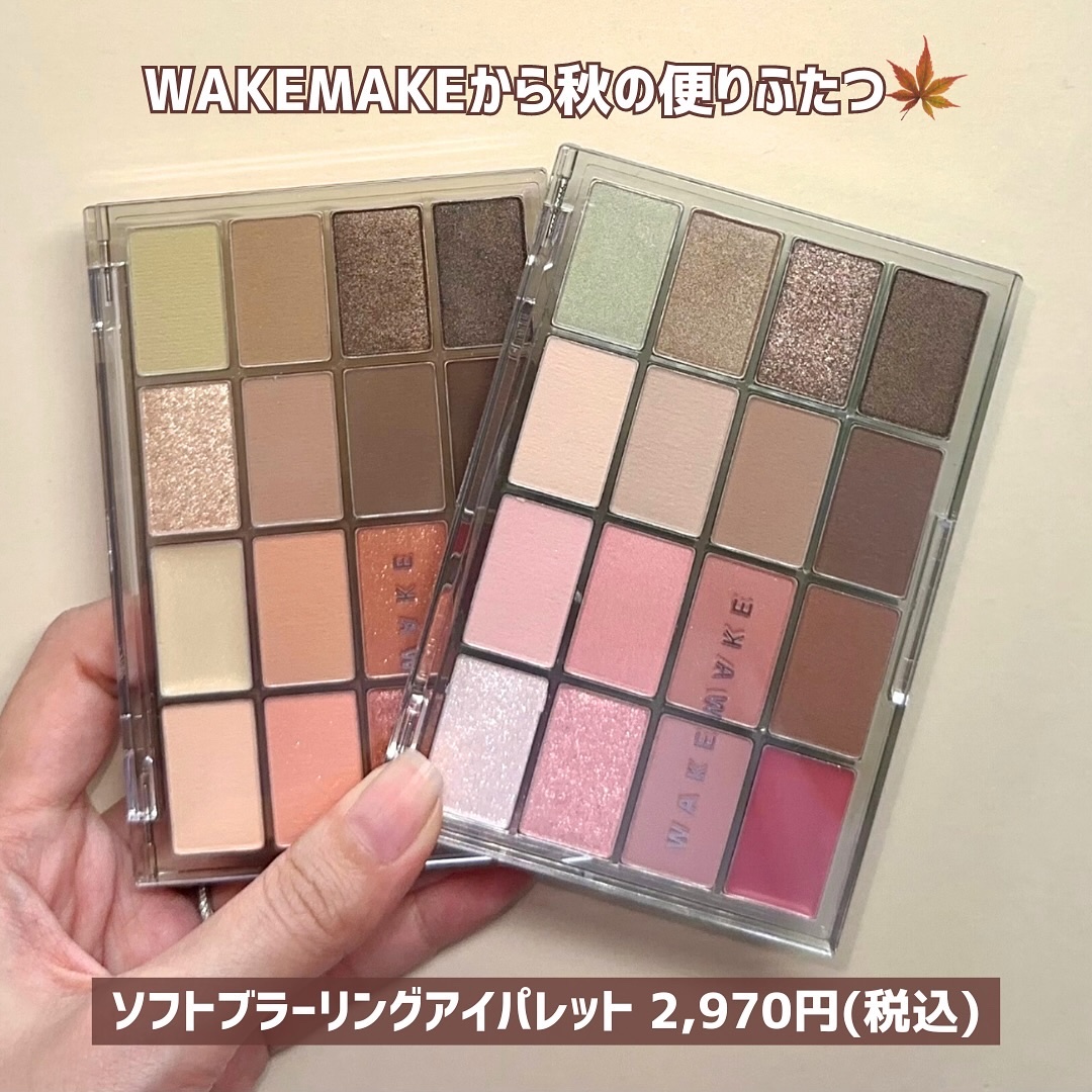 ソフトブラーリングアイパレット/wakemake/アイシャドウパレットを使ったクチコミ（2枚目）