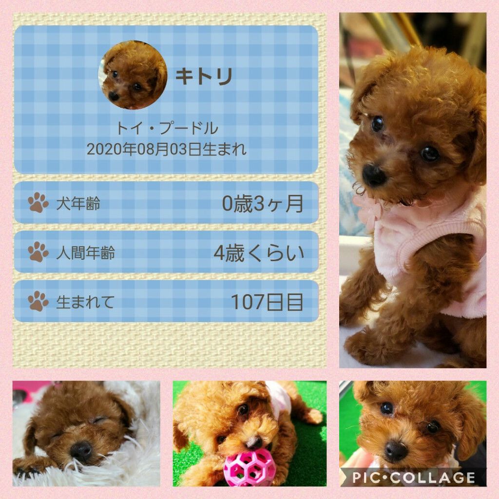 ðãããããðãð©°ã§å€å¿äžðŠ on LIPS ãããã°ãã¯ððçå€äžã«éè«å€±ç€ŒããŸãðŠãã³ãã¯ïŒã€åã®æçš¿ã®å..ãïŒ4æç®ïŒ