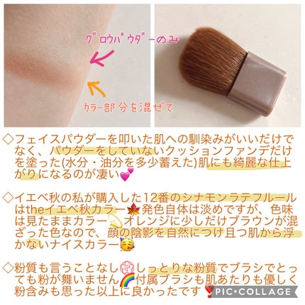 グロウフルールチークス/キャンメイク/パウダーチークを使ったクチコミ(3枚目)