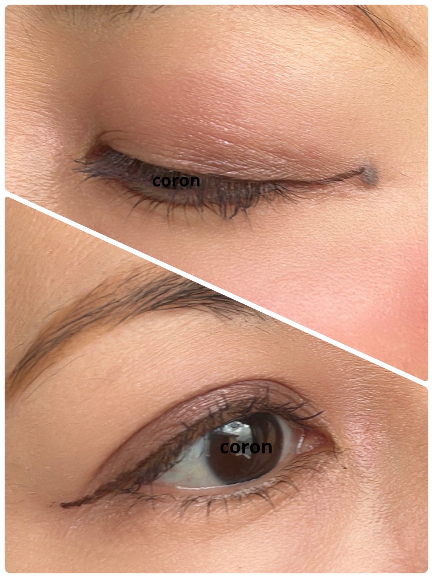 ã³ã³ã¹ããã¥ã¢ã¹ ã¢ã€ãº/Amplitude/ã¢ã€ã·ã£ããŠãã¬ããã䜿ã£ãã¯ãã³ãïŒ2æç®ïŒ