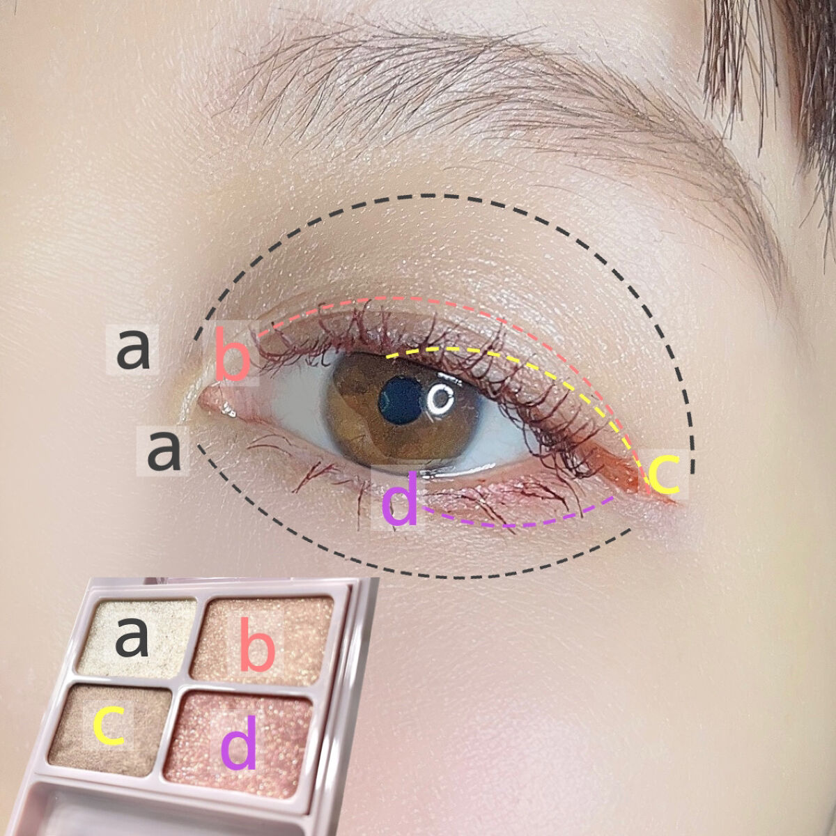 Am9 to Pm9 Survival Colorcara 02 #Rosy Brown/lilybyred/マスカラを使ったクチコミ（2枚目）
