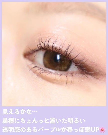 シルキースフレアイズ/キャンメイク/アイシャドウパレットを使ったクチコミ(5枚目)