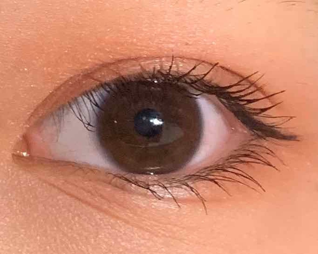 ケイト ザ アイカラー 031 レッドブラウン/KATE/単色アイシャドウを使ったクチコミ（2枚目）