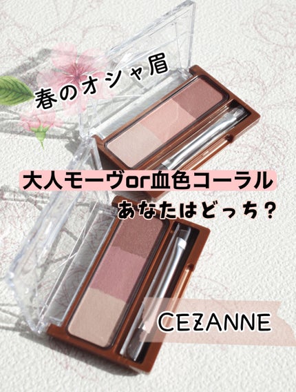 ノーズ&アイブロウパウダー/CEZANNE/パウダーアイブロウを使ったクチコミ(1枚目)