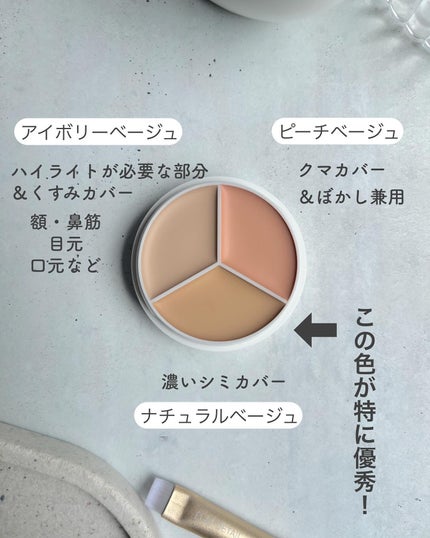 カバーアッププロコンシーラー/TFIT/パレットコンシーラーを使ったクチコミ(3枚目)