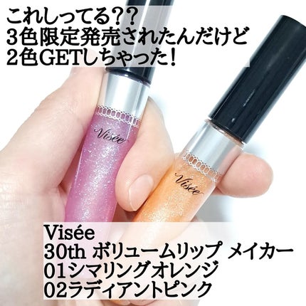 ネンマクフェイク ルージュ/Visée/口紅を使ったクチコミ(2枚目)