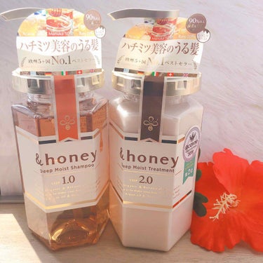 ディープモイスト シャンプー1.0／ヘアトリートメント2.0/&honey/シャンプー・コンディショナーを使ったクチコミ（1枚目）