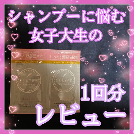 シャンプー/トリートメント DN ダメージケア/CLAYGE/シャンプー・コンディショナーを使ったクチコミ(1枚目)