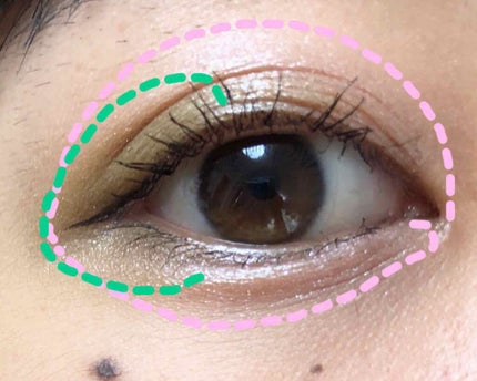 リアルクローズシャドウ/excel/アイシャドウパレットを使ったクチコミ(2枚目)