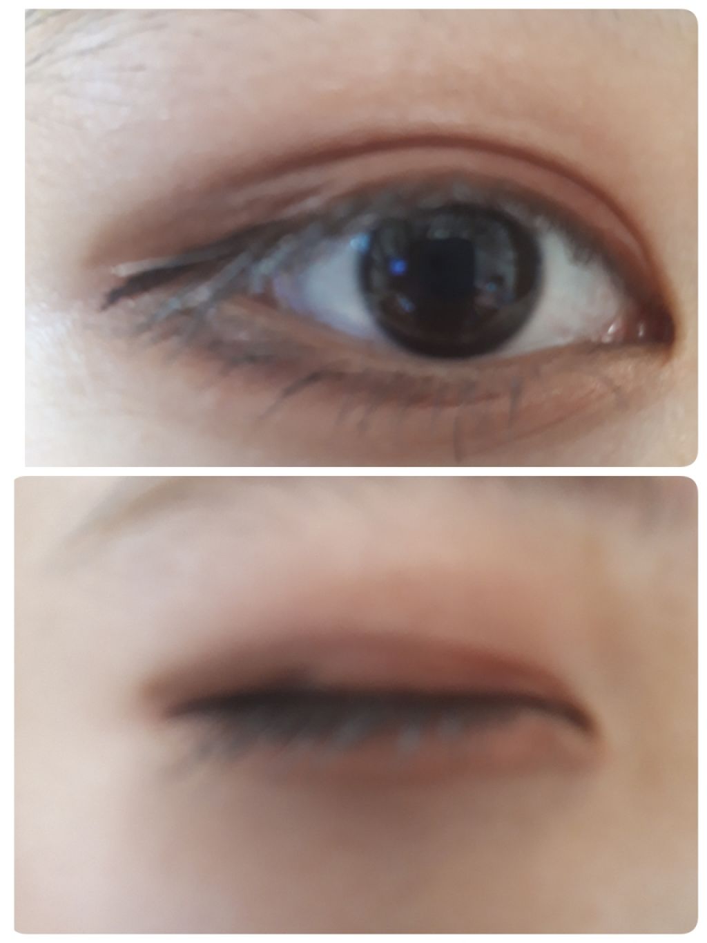 ミニチョコレートアイシャドウパレット/MAKEUP REVOLUTION/アイシャドウパレットを使ったクチコミ(2枚目)