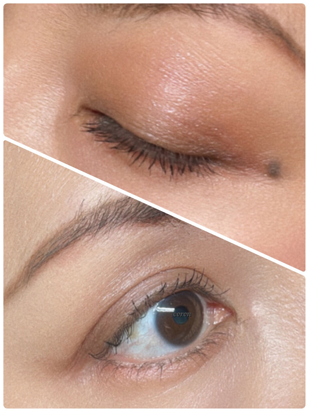 シグニチャー カラー アイズ/SUQQU/アイシャドウパレットを使ったクチコミ（2枚目）