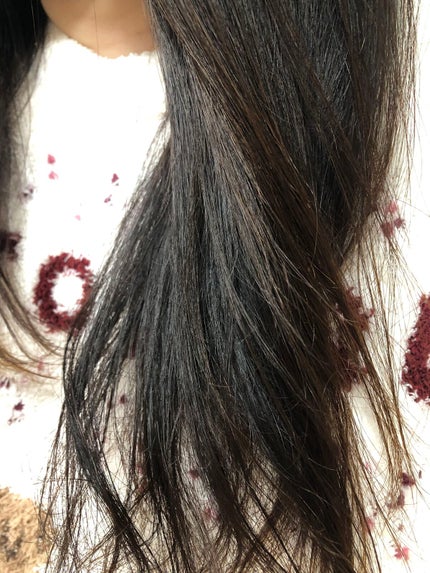 Perfume PURE BREEZE シャンプー/コンディショナー/ELASTINE/シャンプー・コンディショナーを使ったクチコミ(4枚目)