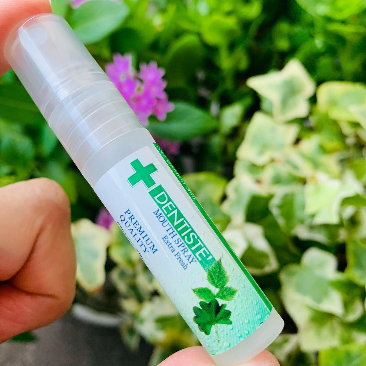 デンティス　マウススプレー/デンティス/マウスウォッシュ・スプレーを使ったクチコミ（1枚目）