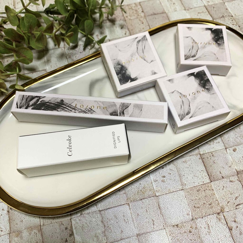 ディグニファイド リップス/Celvoke/口紅を使ったクチコミ(1枚目)