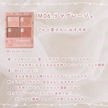 シルキースフレアイズ(マットタイプ)/キャンメイク/アイシャドウパレットを使ったクチコミ(6枚目)