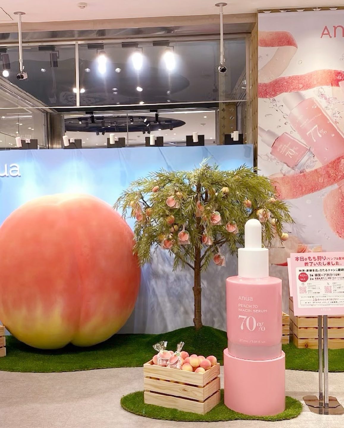 桃70%ナイアシンセラム/Anua/美容液を使ったクチコミ（2枚目）