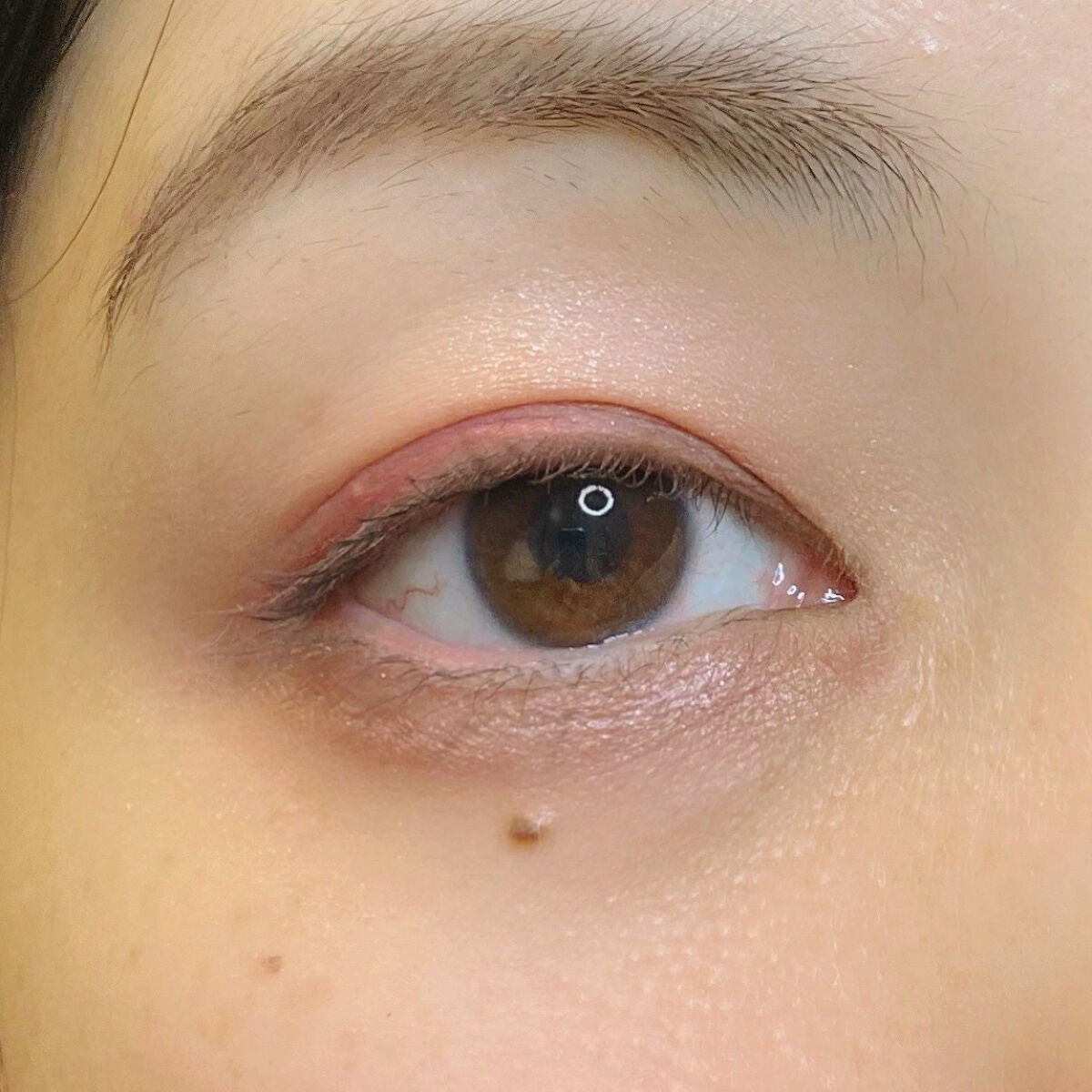 アニマルアイシャドウ(4シェード)/ZEESEA/アイシャドウパレットを使ったクチコミ(3枚目)