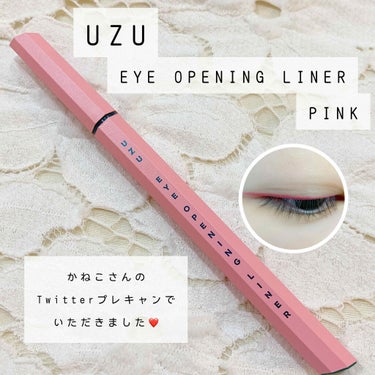 EYE OPENING LINER/UZU BY FLOWFUSHI/リキッドアイライナーを使ったクチコミ（1枚目）