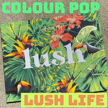 #colourpop #LUSH_LIFE

南国風のパケが可愛い🏝🌺
ColourPopの12色パレット『LUSH LIFE』

粉質もサラッとしていて使いやすい👍
深めのマットなカラーと明るいツヤ感