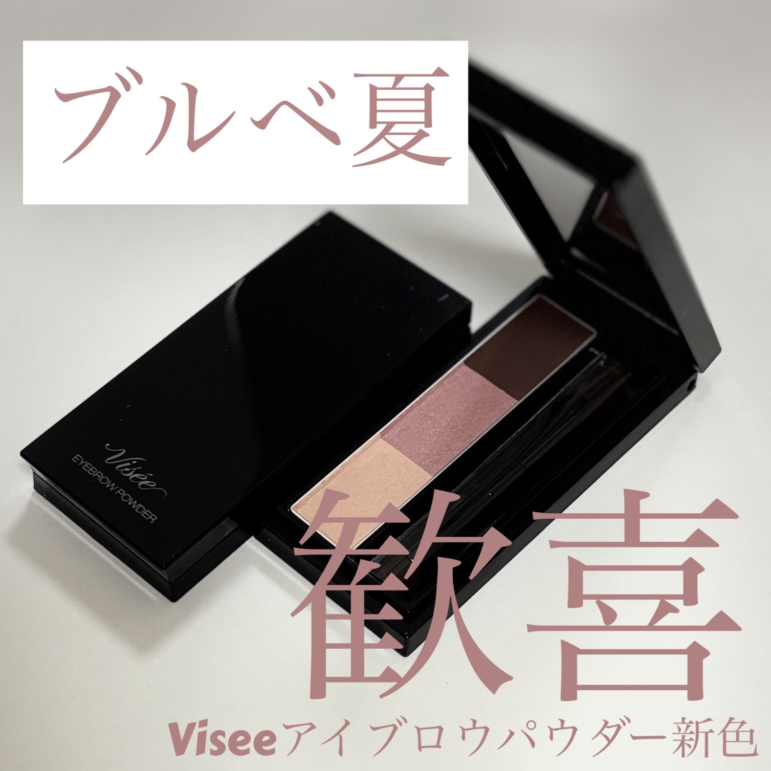 ヴィセ リシェ アイブロウパウダー/Visée/パウダーアイブロウを使ったクチコミ（1枚目）
