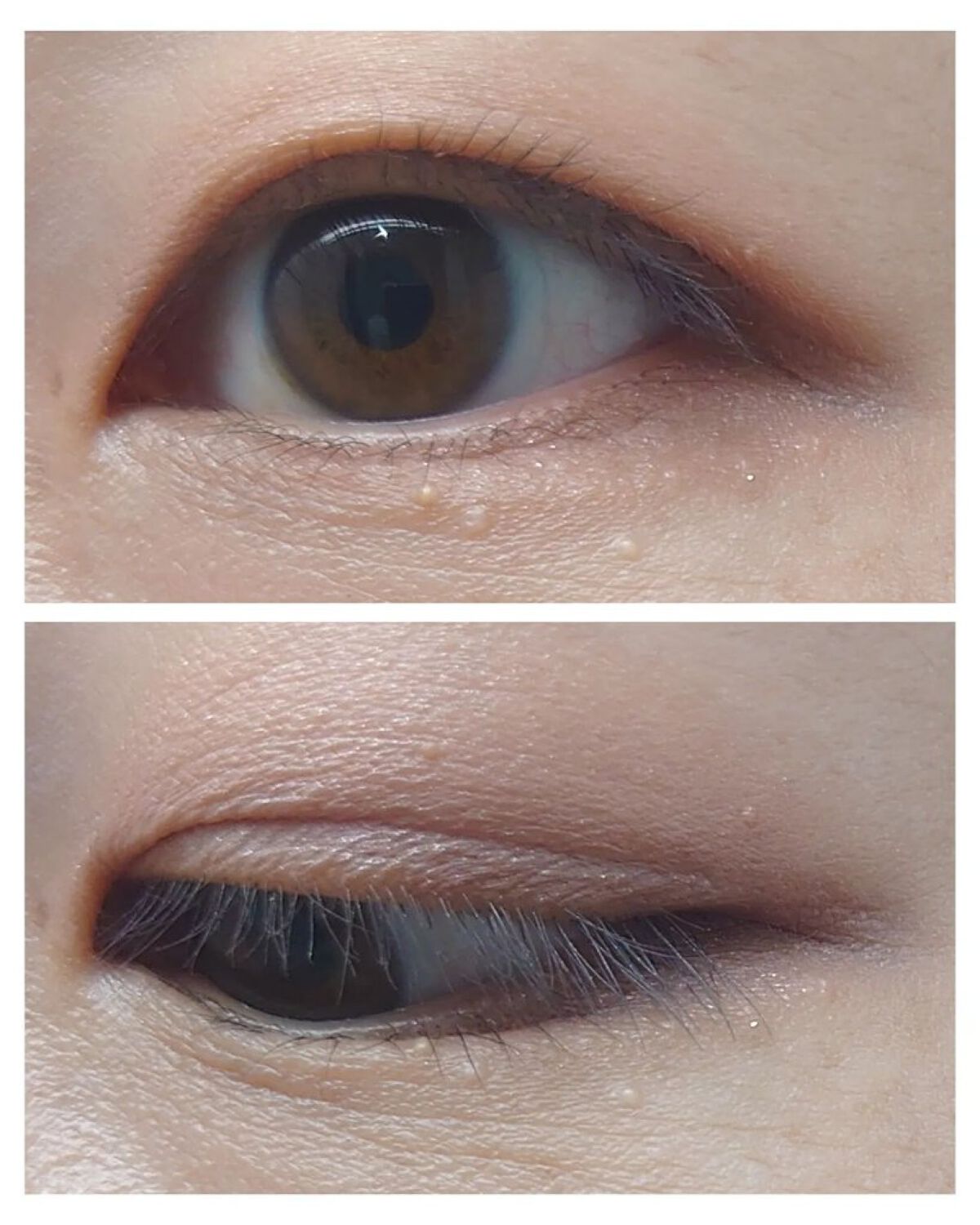 インザミラーアイパレット/Ririmew/アイシャドウパレットを使ったクチコミ（2枚目）