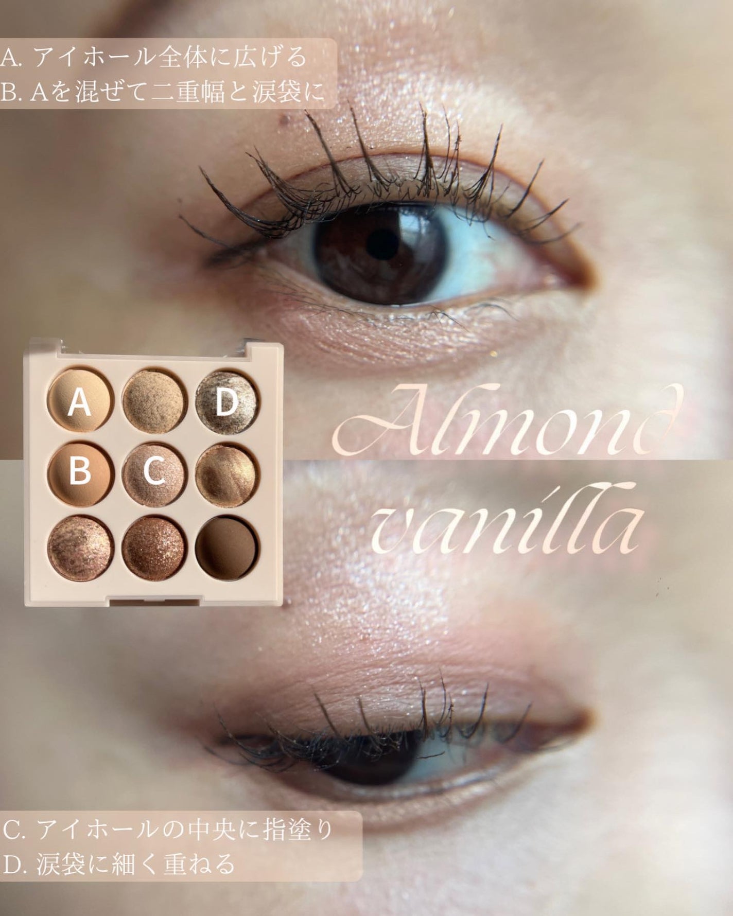 シャドウパレット/dasique/アイシャドウパレットを使ったクチコミ(2枚目)